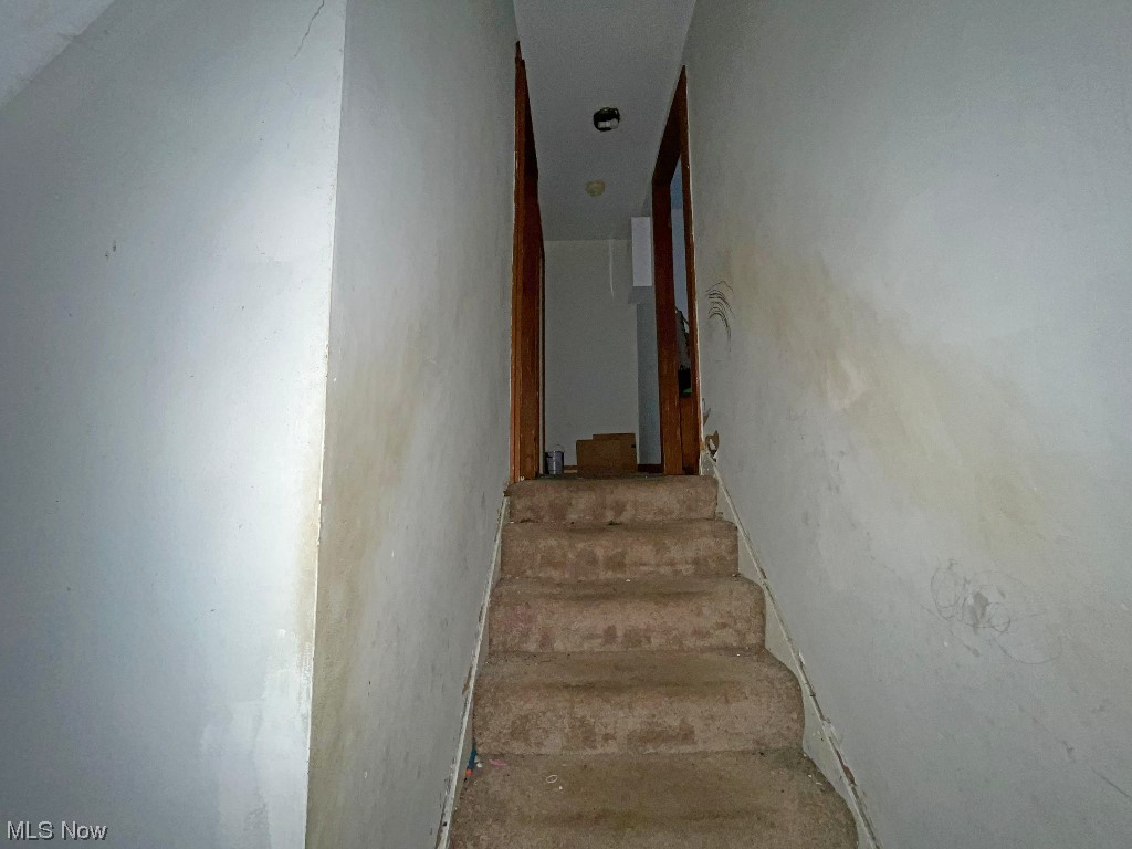 Trumbull Woods - Residential