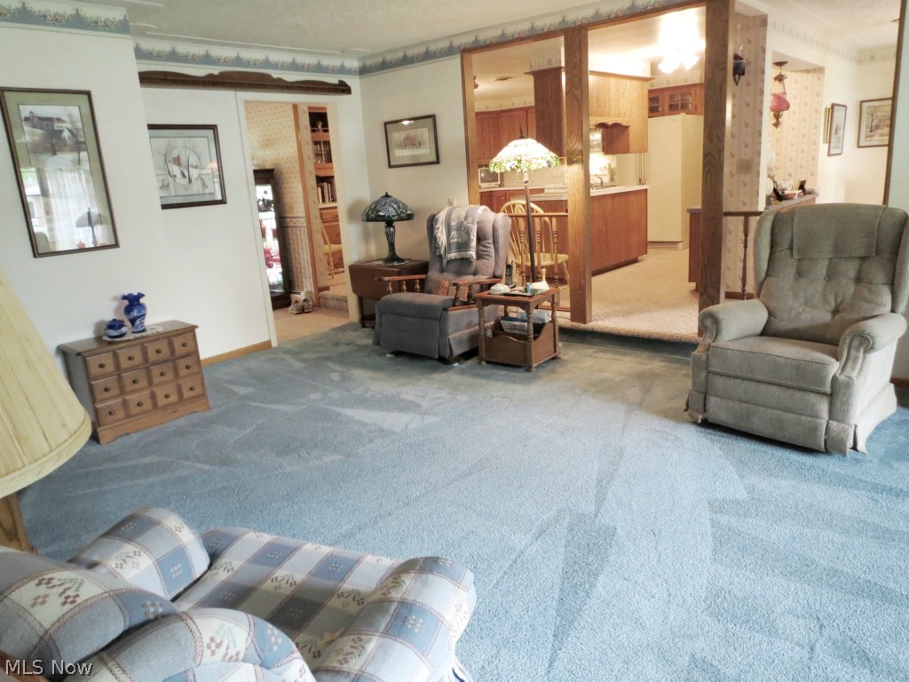 Surrey Hills - Residential