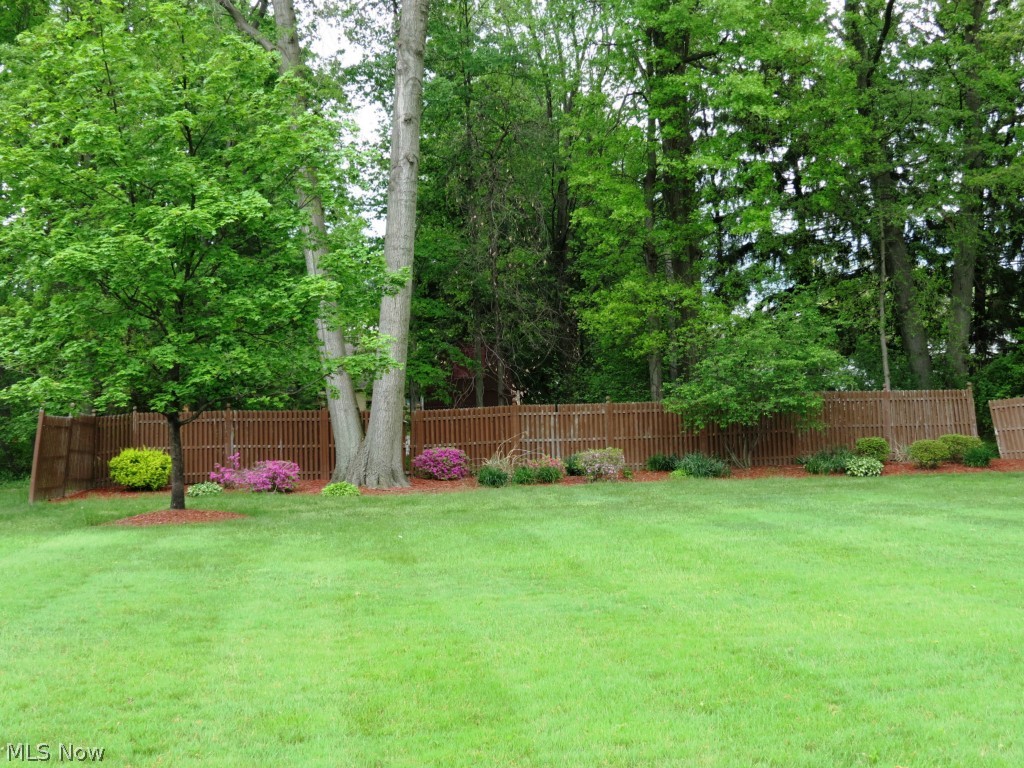 Surrey Hills - Residential