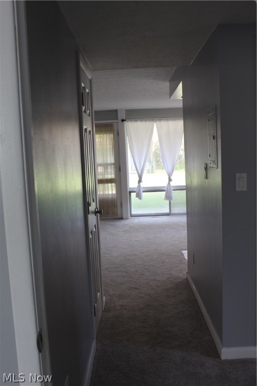 Georgetown Arms Condo - Residential