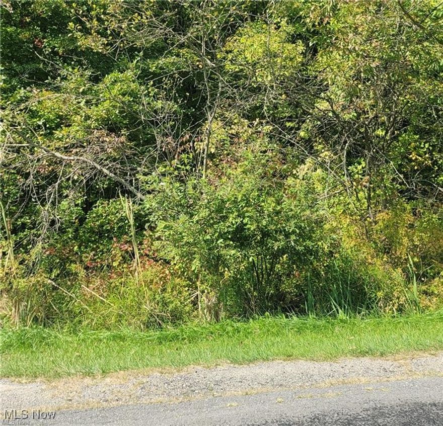 Super private treed setting. Perfect for your new home! Great location. 2.86 acres.