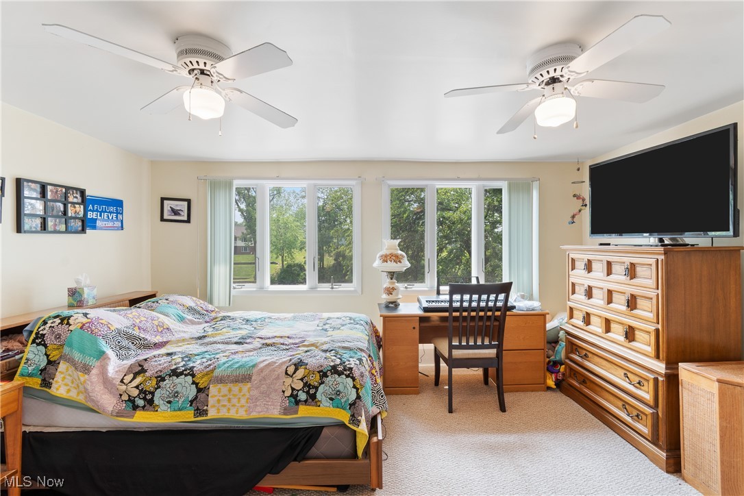 Turkeyfoot Channel - Residential