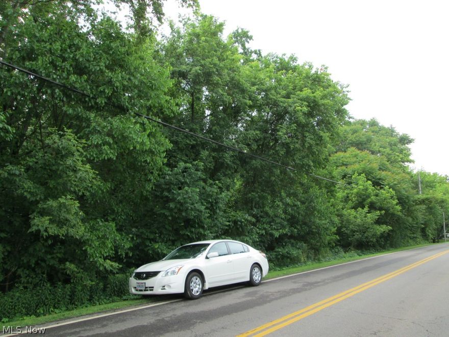 3.04 acre home site between Quarry and Rice Rds.   All wooded, with small creek and pond.  Hillside wooded property with exciting potential.  Amherst address.  Brownhelm Twp.  Firelands school system.  Great location with easy access to Rt 90 and major routes.  City water, Gas, electric, phone and cable available at the street.  Plans for septic approved by the county.  Plans to develop are available.