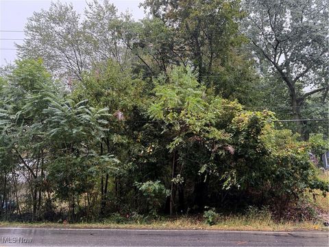 Vacant Land For Sale - V/L Sanitarium Road<br/> Akron, OH 44312