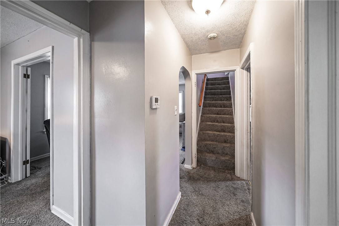 Oakhill Allotment - Residential