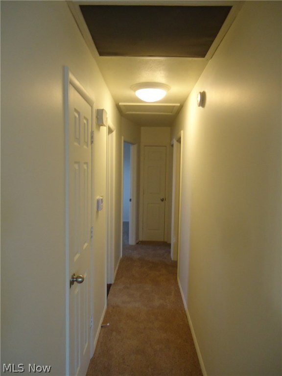 Forrest Hill - Residential