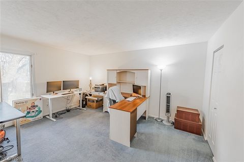 Tiny photo for 920 Howard Street, Elyria, OH 44035 (MLS # 5187069)