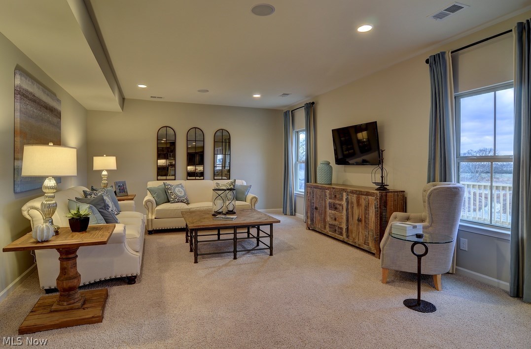 The Preserve at Salt Creek - Residential