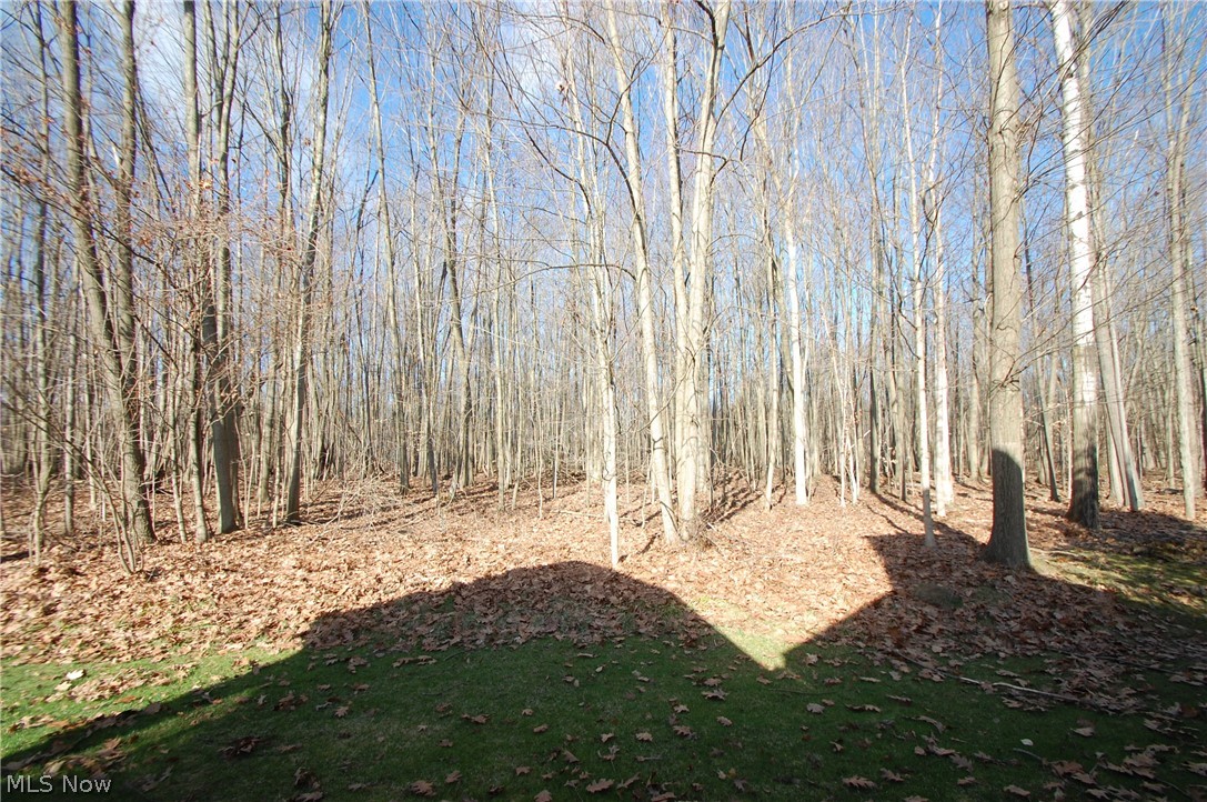 Walnut Grove - Residential