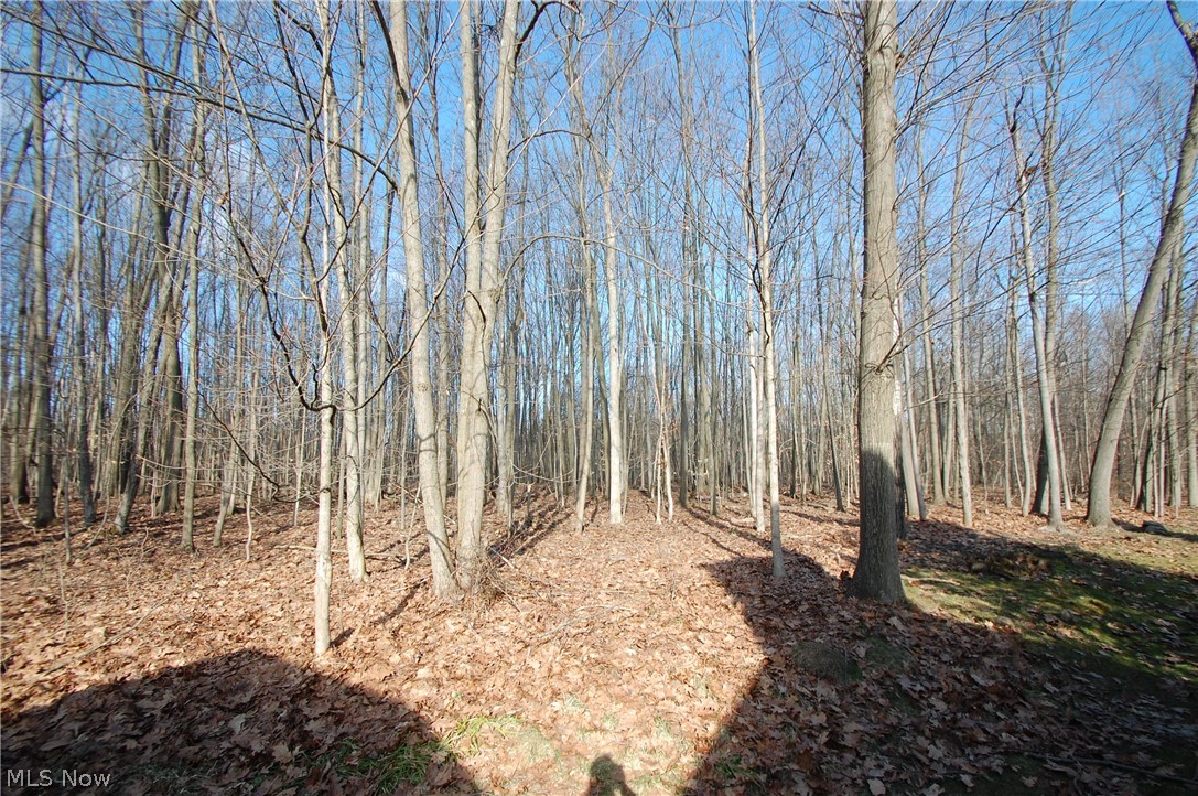 Walnut Grove - Residential