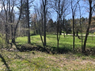 Photo 1 of 5 — 11971 Wintergreen Drive, Chardon, OH 44024