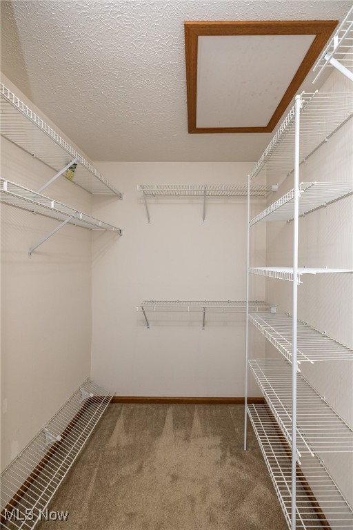 Devonshire Meadows Condo - Residential