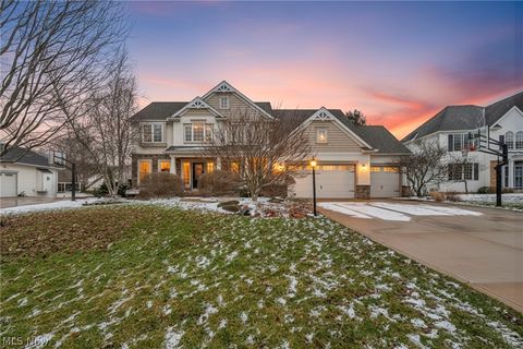 5551 Brook Run Drive Medina OH 44256