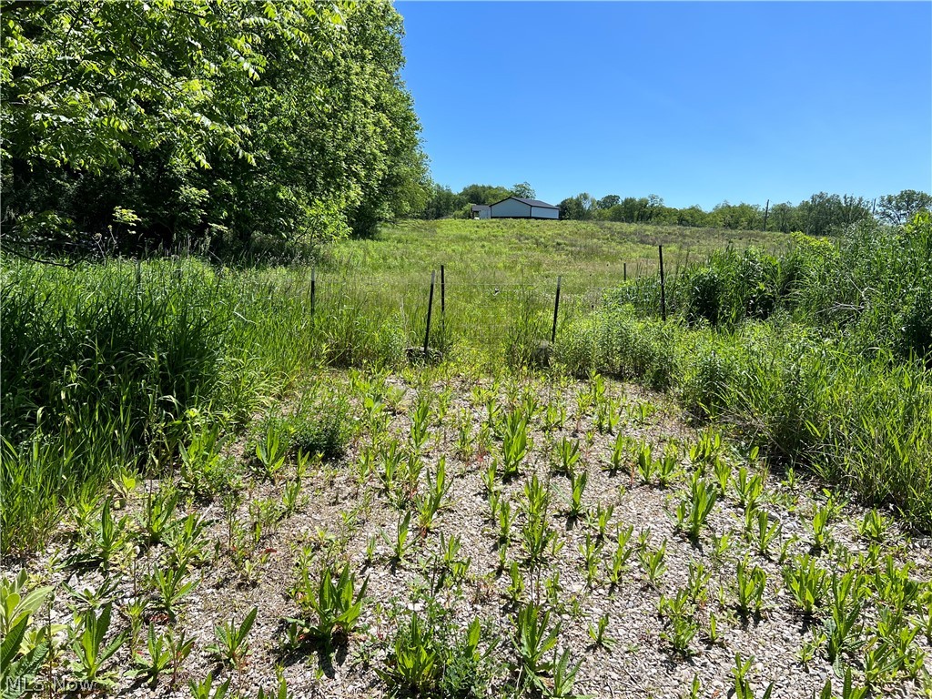 Shaw Road