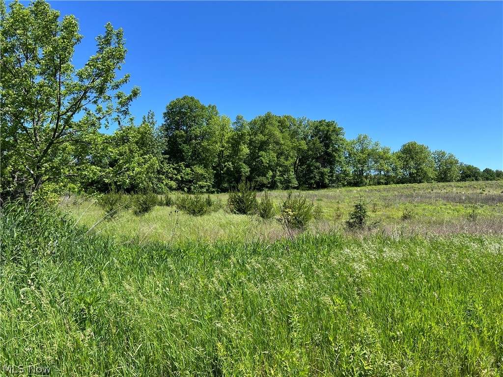 Shaw Road