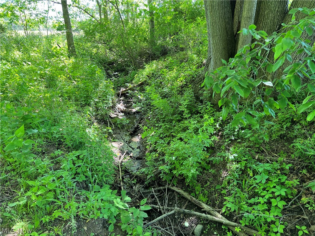 Shaw Road