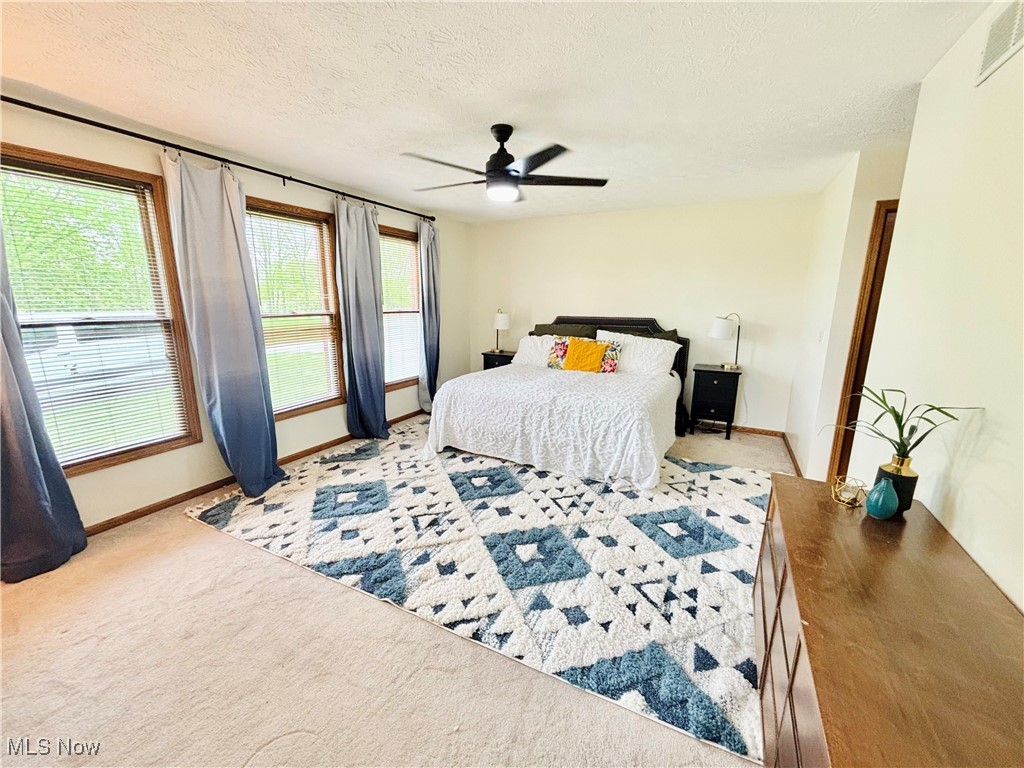 240 Anderson Road, Fleming, Ohio image 8