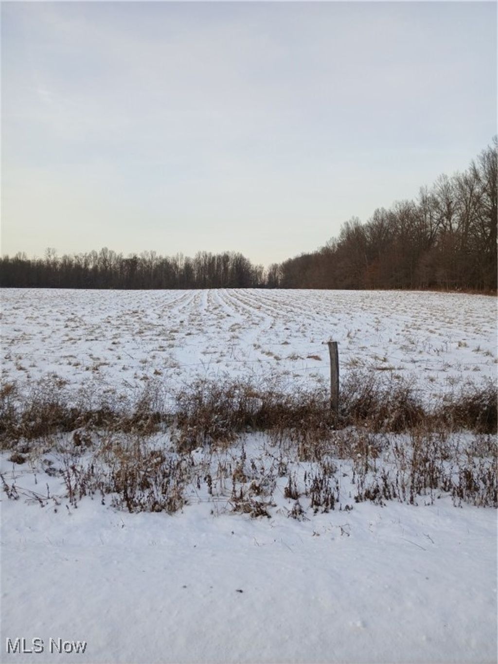 Photo of Selkirk Bush Road, Newton Falls, OH 44444 (MLS # 5177272)