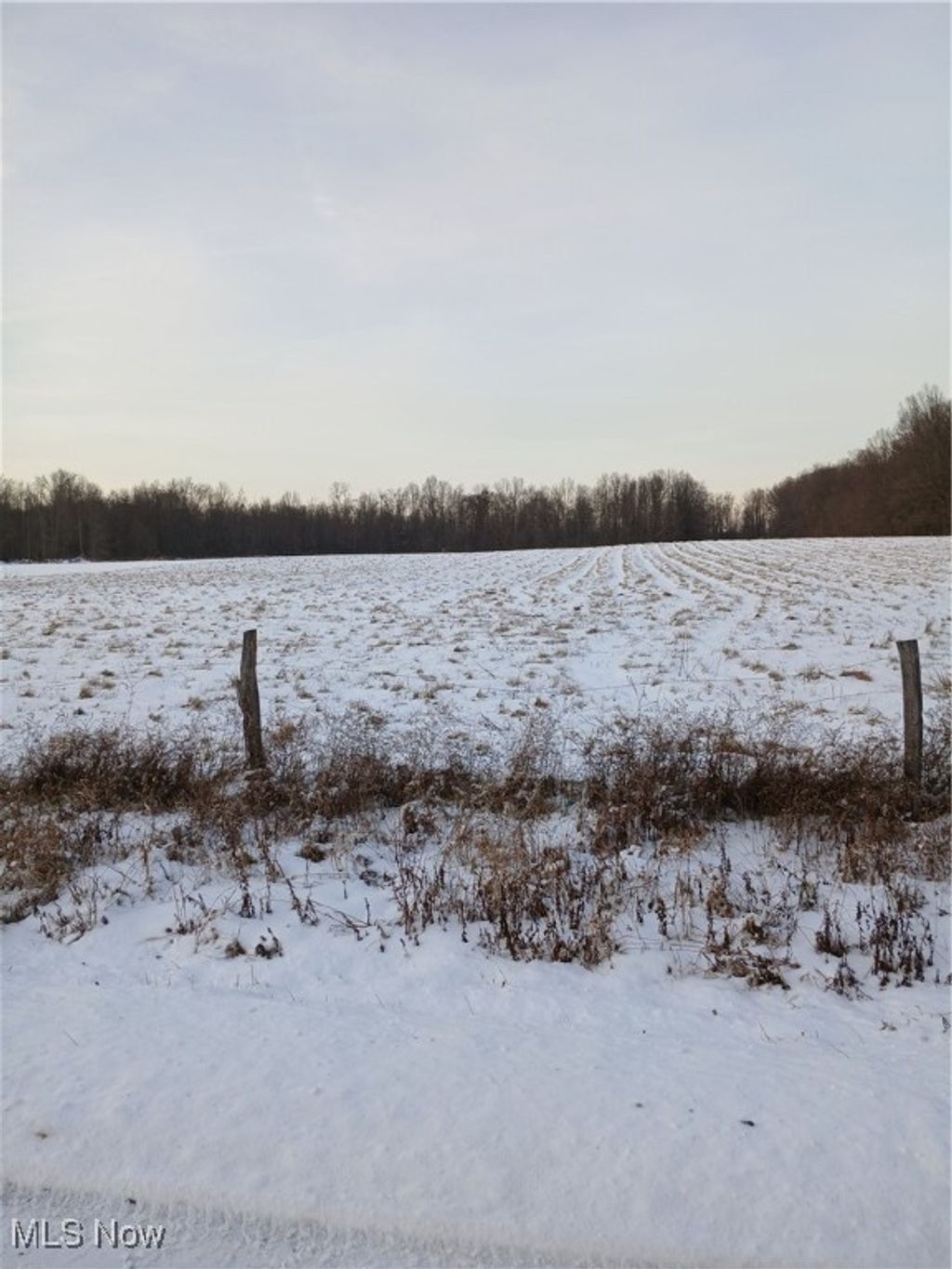 Photo of Selkirk Bush Road, Newton Falls, OH 44444 (MLS # 5177272)