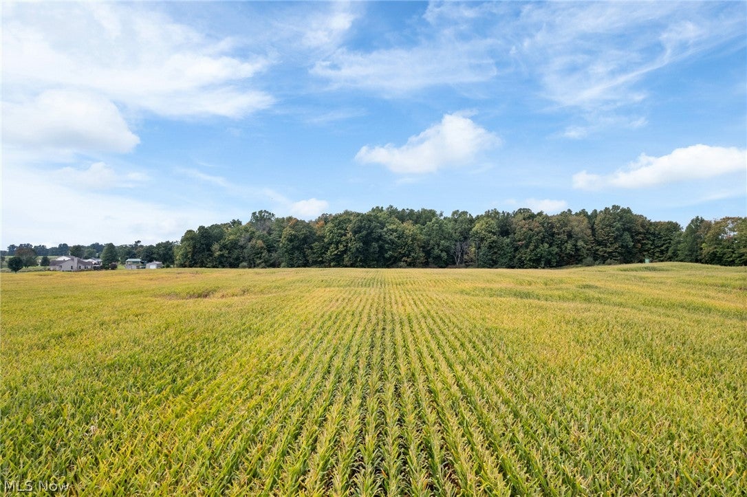 3499 Stroup Road 1-4