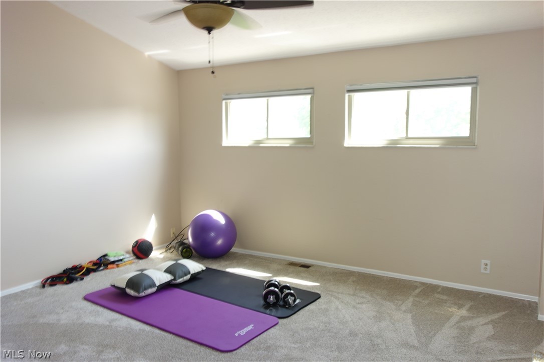 Penguin Condo - Residential