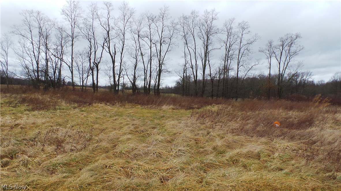 Frederick Schoenl 02 - Residential