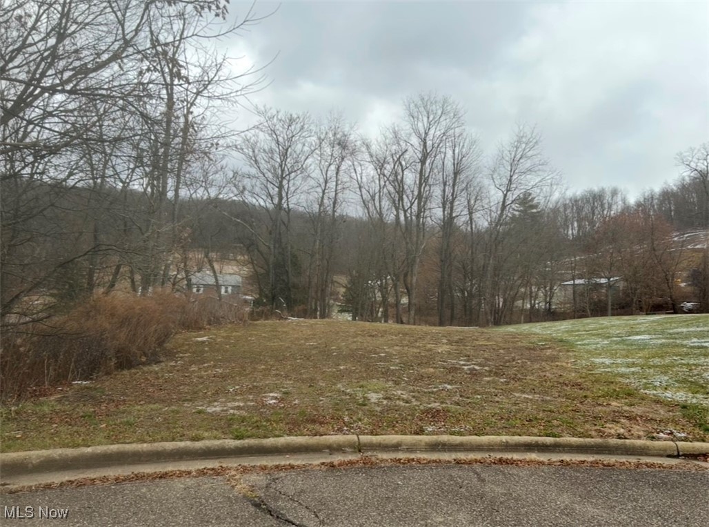 TBA Dipino Drive, Colliers, West Virginia image 5