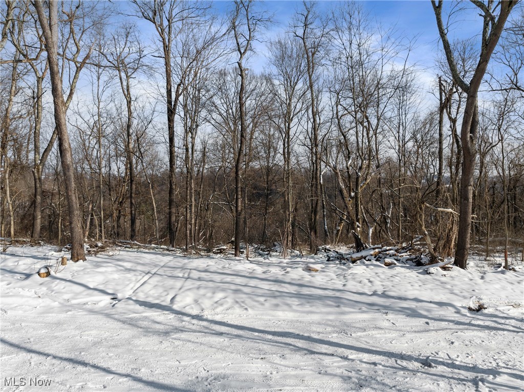 TBD Yellow Wood Drive, Wheeling, West Virginia image 11