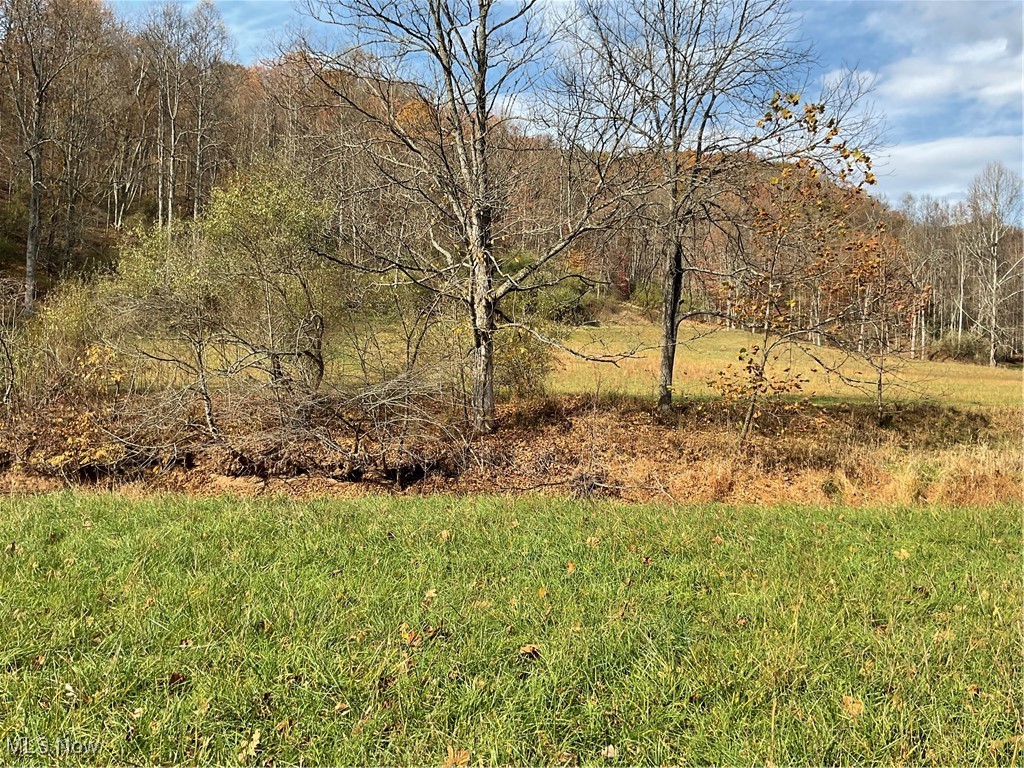 0000 White Oak Road, Walker, West Virginia image 34