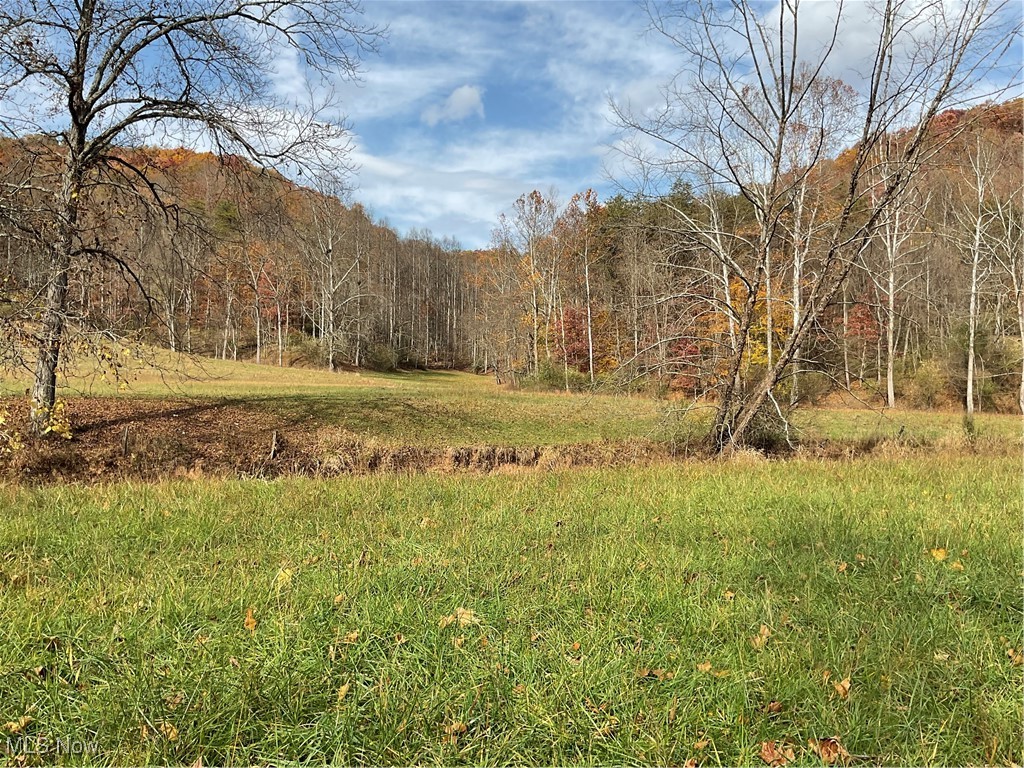 0000 White Oak Road, Walker, West Virginia image 38