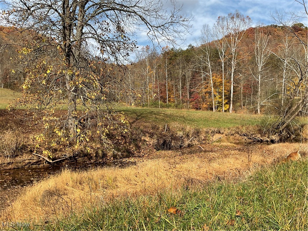 0000 White Oak Road, Walker, West Virginia image 37