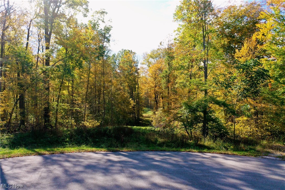 MCFARLAND WOODS PHASE II - Residential