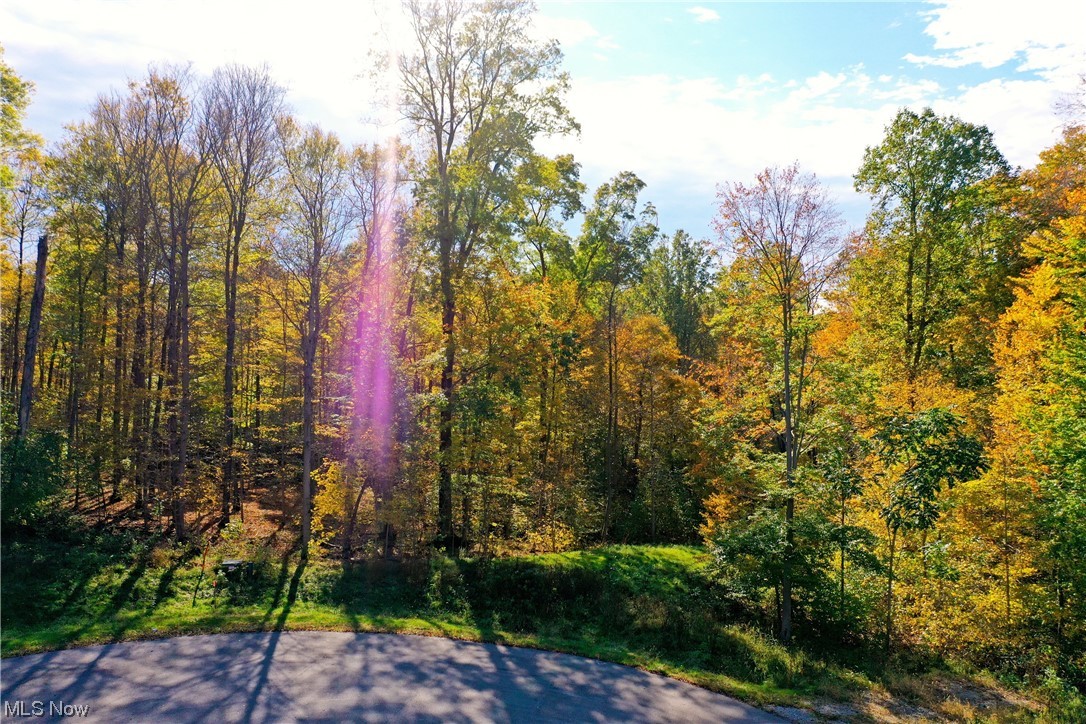 MCFARLAND WOODS PHASE II - Residential