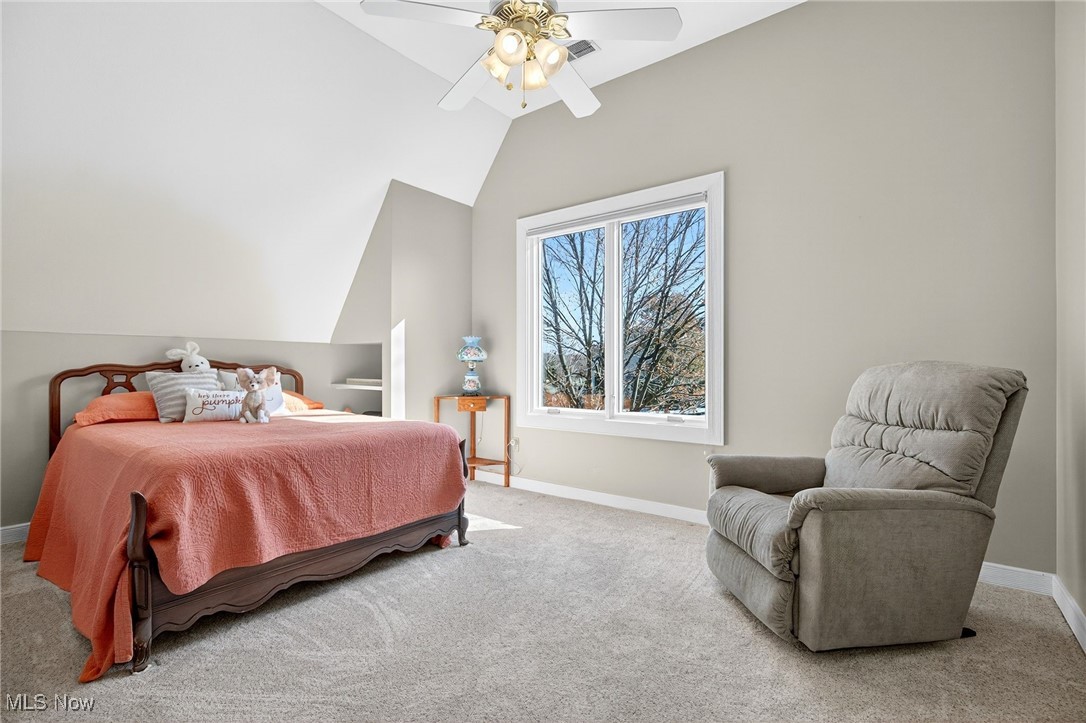 Red Tail - Residential