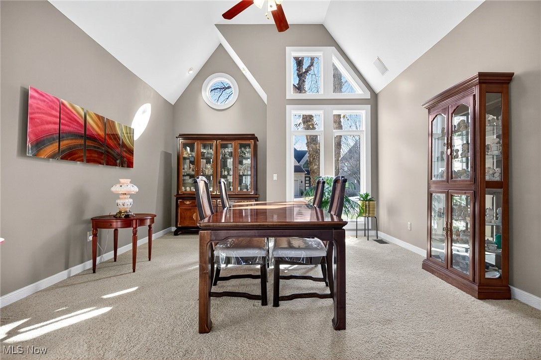 Red Tail - Residential