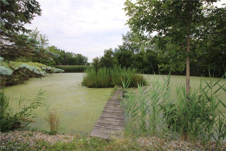 Are you looking for some land to make your own? Look no further than this 2.75-acre parcel on Lakeshore Dr. The home is in disrepair and must either be razed or rebuilt. Large Pond. Property being sold as-is. Buyer will wither need to pay cash or get a rehab loan. The home is located in the flood zone. You must be with your realtor to gain access to the property. Call them today to take a look.