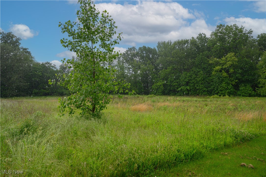 2491 Mount Pleasant Street, Canton, Ohio image 2