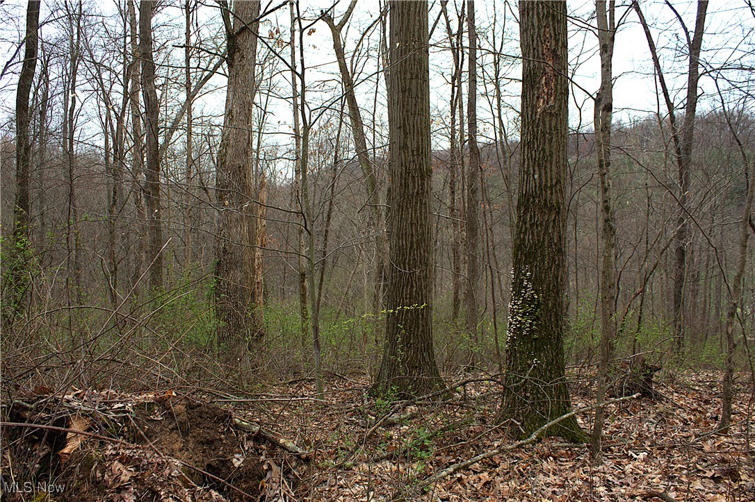 Little Buckhorn Road, Newcomerstown, Ohio image 4