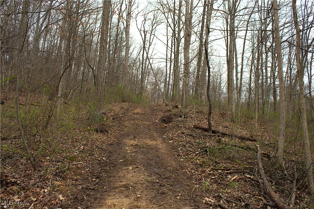 Little Buckhorn Road, Newcomerstown, Ohio image 3