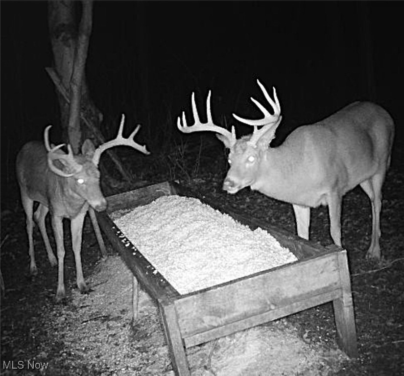 Little Buckhorn Road, Newcomerstown, Ohio image 14