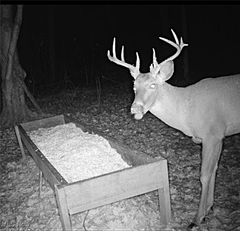 Little Buckhorn Road, Newcomerstown, Ohio image 17