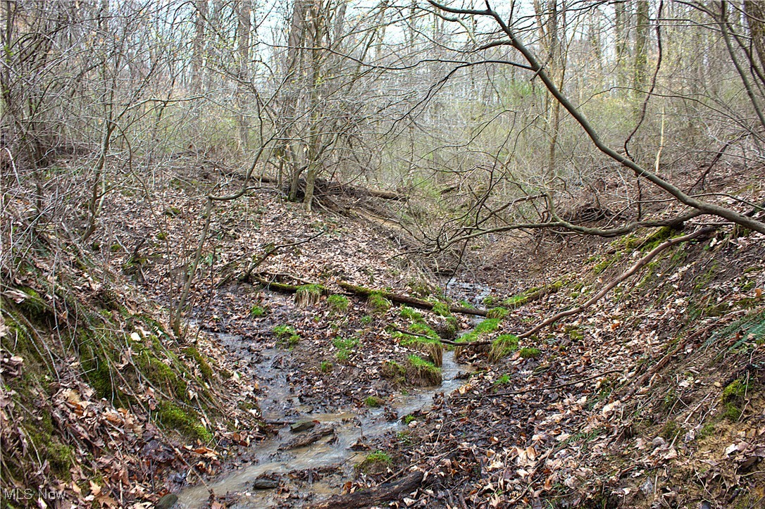 Little Buckhorn Road, Newcomerstown, Ohio image 6