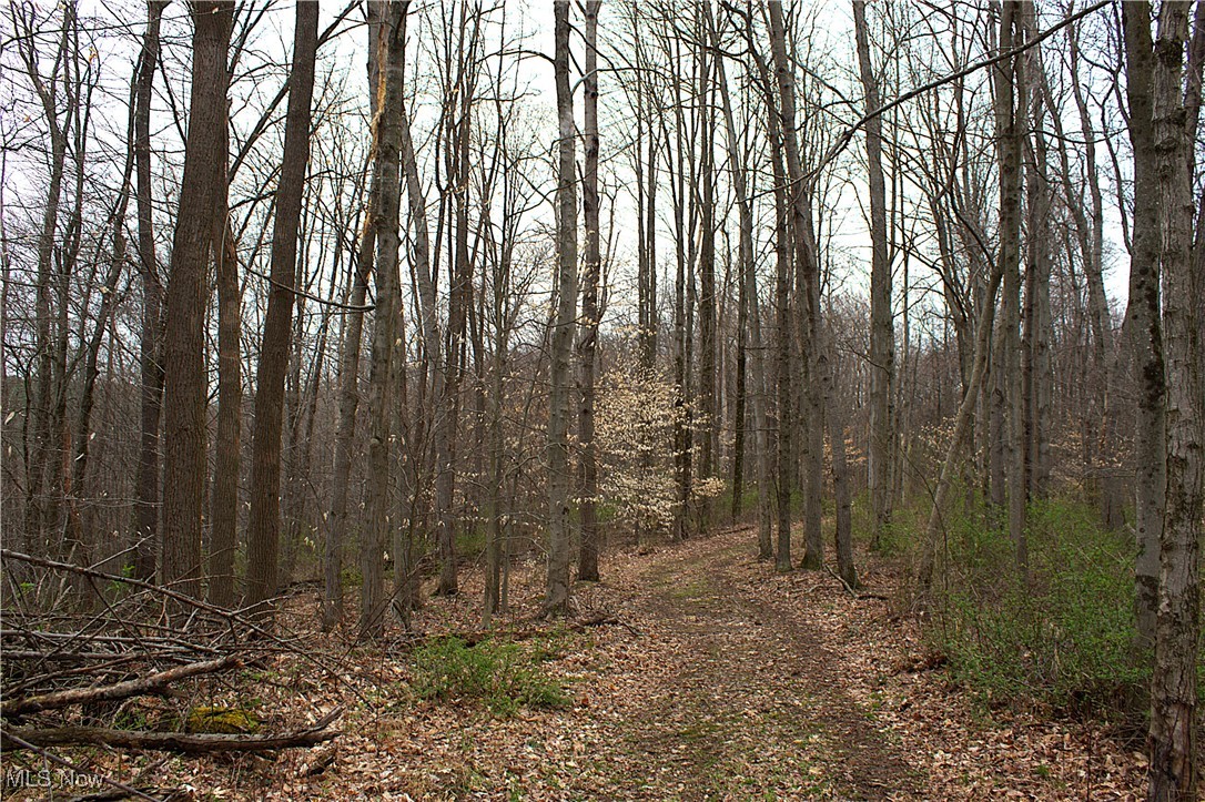 Little Buckhorn Road, Newcomerstown, Ohio image 10