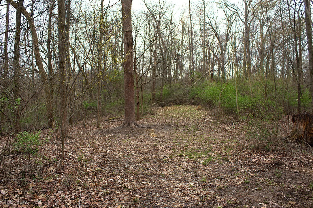 Little Buckhorn Road, Newcomerstown, Ohio image 8