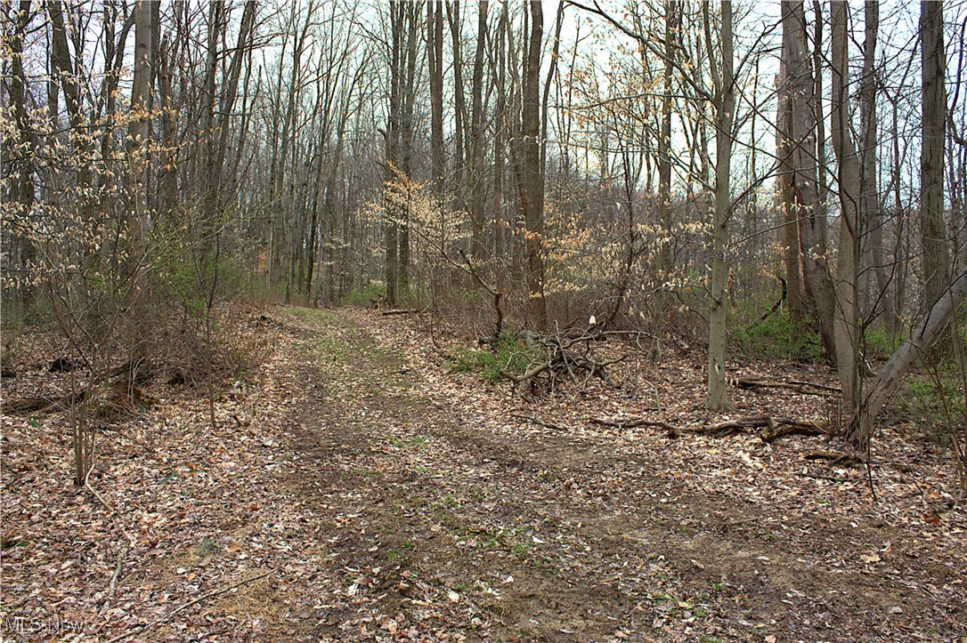 Little Buckhorn Road, Newcomerstown, Ohio image 11
