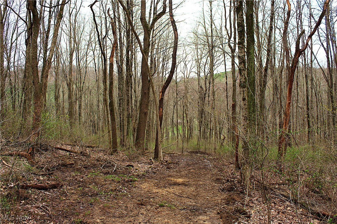 Little Buckhorn Road, Newcomerstown, Ohio image 7