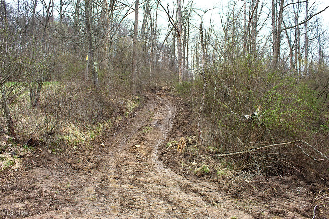 Little Buckhorn Road, Newcomerstown, Ohio image 2