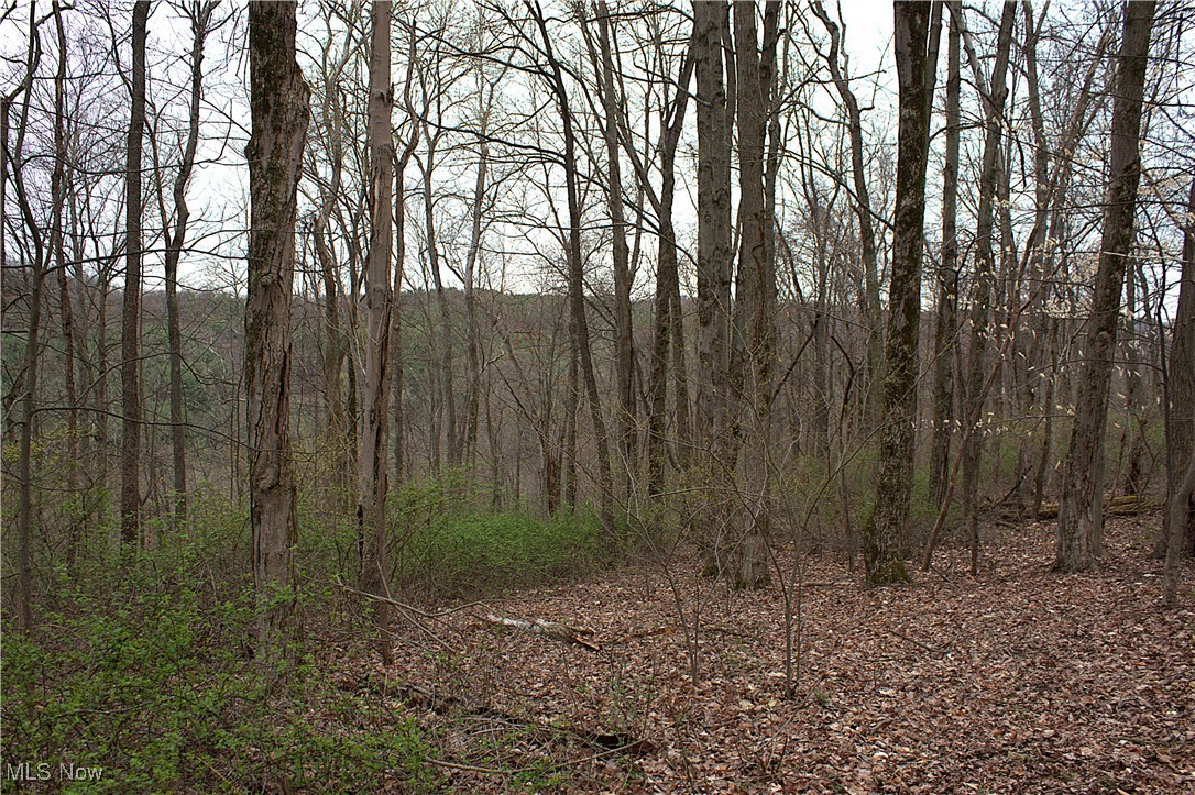 Little Buckhorn Road, Newcomerstown, Ohio image 9
