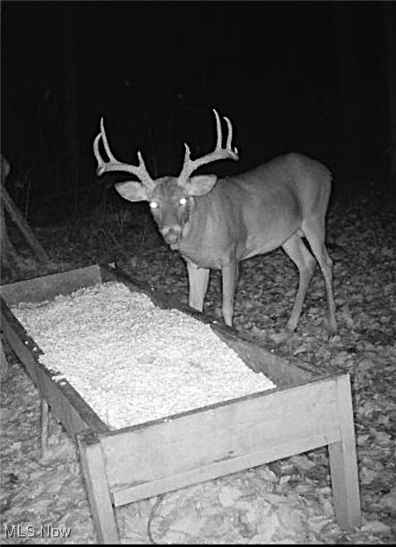 Little Buckhorn Road, Newcomerstown, Ohio image 15