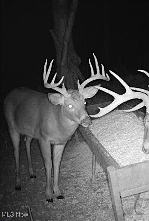 Little Buckhorn Road, Newcomerstown, Ohio image 16